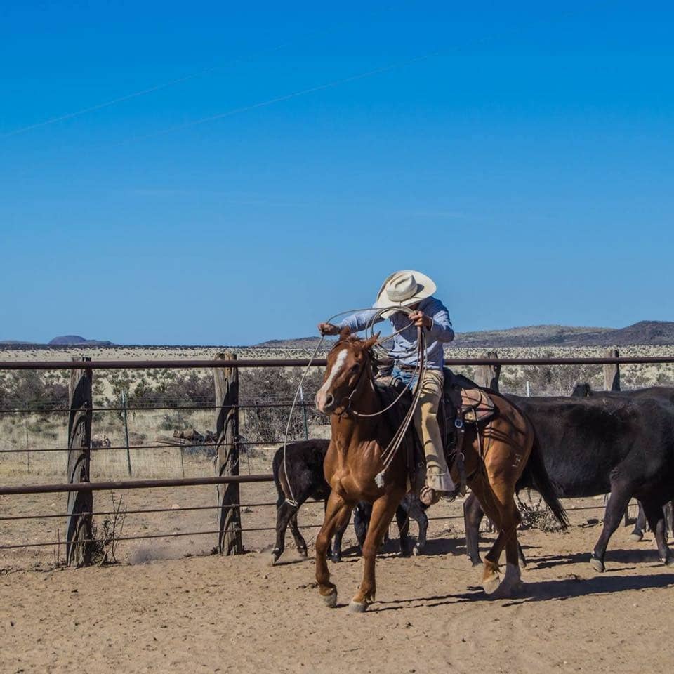 Man holding a rope while riding a horse